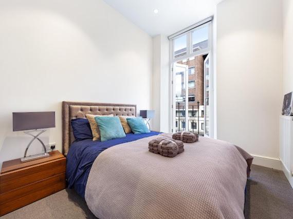 Harley Street Luxury Snug Διαμέρισμα Λονδίνο Εξωτερικό φωτογραφία